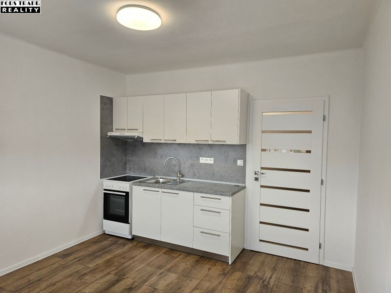 Einzimmerwohnung mit Küchenzeile, weißen Schränken und Boden in Holzoptik.