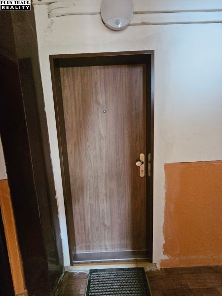 Eingangstür mit Holzdekor und schwarzer Fußmatte, Einzimmerwohnung.