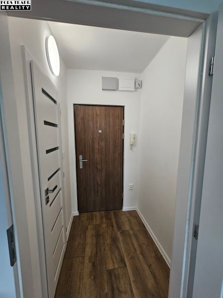 Eingangsbereich in einem Studio-Apartment mit Holzboden und weißen Wänden.