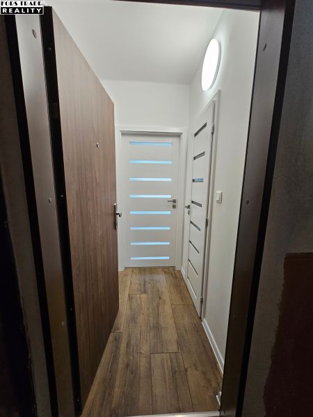 Eingangsbereich eines Einzimmerapartments mit Holzboden und weißen Türen.