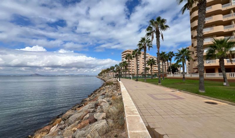 Uferpromenade mit Palmen bei der Ferienwohnung in La Manga del Mar Menor, Spanien.