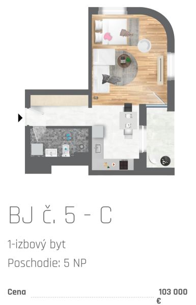 Grundriss einer Einzimmerwohnung mit Holzboden, Kochnische und Badezimmer.