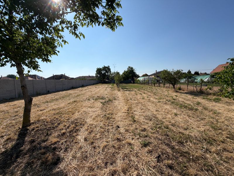 Grundstück mit Obstbäumen und Gras in der Stadt Nesvady bei Einfamilienhäusern.