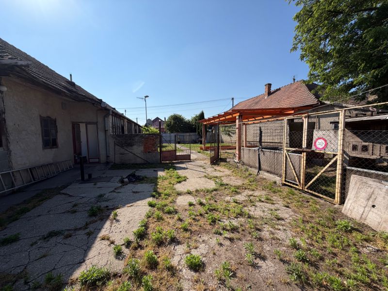 Der Hof des Einfamilienhauses in Nesvady mit eingezäunten Bereichen und Betonoberfläche.