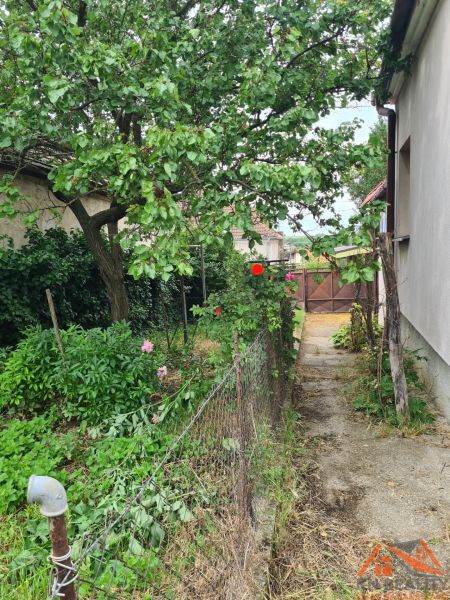Der Garten beim Einfamilienhaus in Dulovce mit einem Baum und Blumen entlang des Weges.