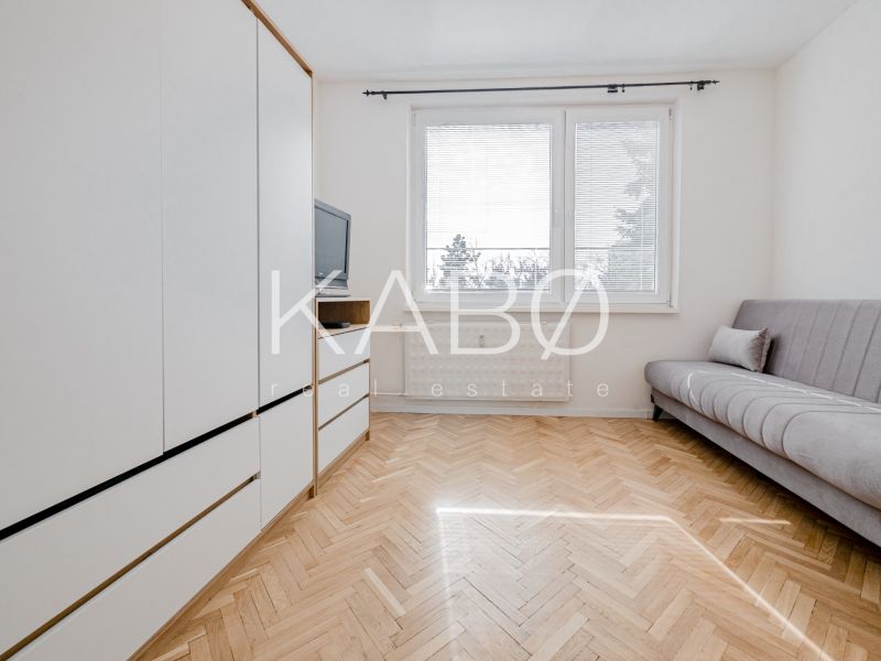 Einzimmerwohnung mit Holzboden, Sofa und Kleiderschrank.
