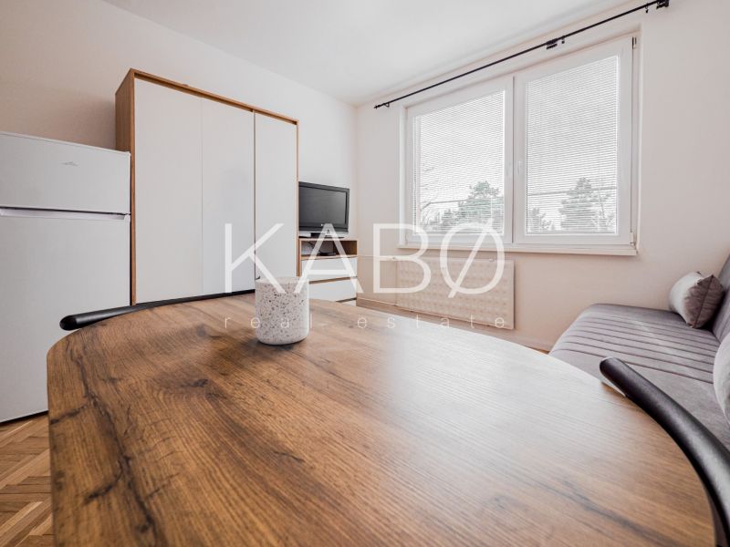 Einzimmerwohnung mit Holzboden, Sofa und Schrank, die Ausstattung umfasst auch einen Kühlschrank und einen Fernseher.