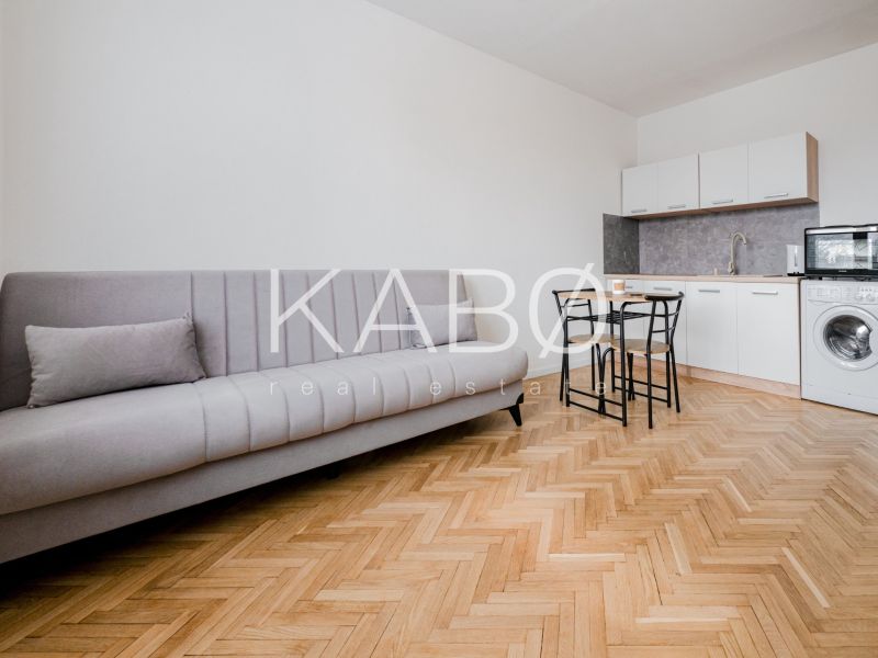 Einzimmerwohnung mit Holzboden, Sofa und Kochnische.