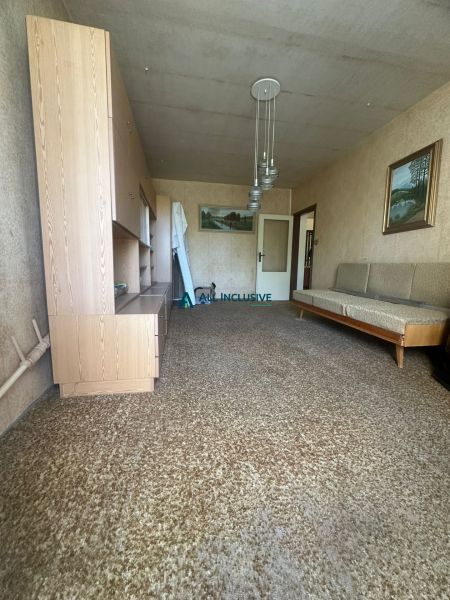 Wohnzimmer in einer 2-Zimmer-Wohnung mit Teppich und Holzmöbeln.