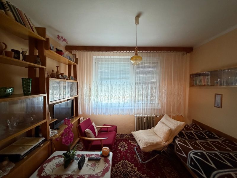 Wohnzimmer in einer Zweizimmerwohnung mit Regalen, Sesseln und einem Fenster mit weißen Vorhängen.