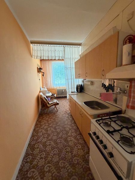 Schmale Küche in einer 2-Zimmer-Wohnung mit einem Gasherd und einem Blumenmuster auf dem Teppich.