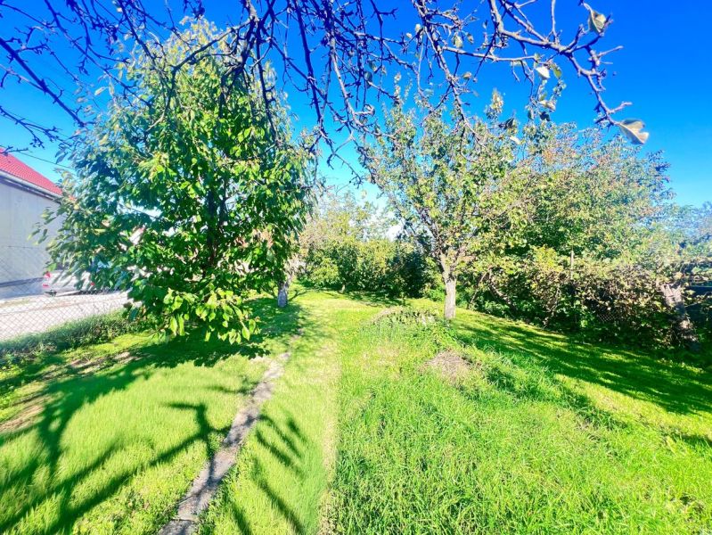 Der Garten des Einfamilienhauses in Žirany, Bezirk Nitra, mit Obstbäumen und Rasen.