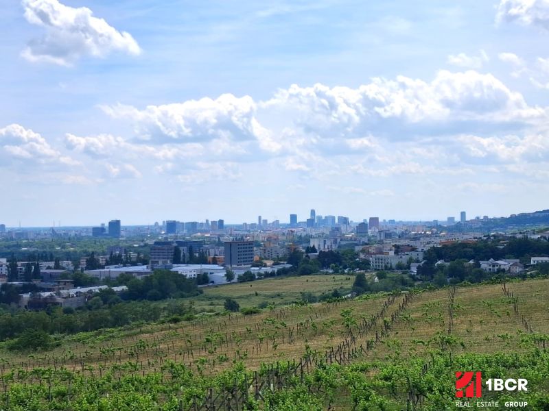 Weinberge in der Vtáčikova cesta in Bratislava - Rača mit Panoramablick auf die Stadt.
