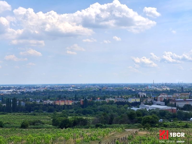Blick von den Weinbergen auf der Vtáčikova-Straße in Bratislava - Rača auf die Stadt.