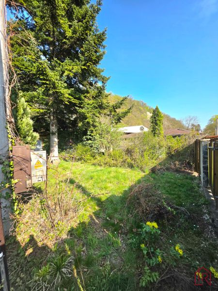 Ein Garten im Stadtteil Krásna in der 1. mája-Straße mit Nadelbäumen und Rasen.