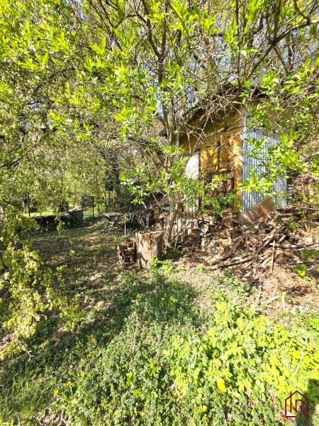 Ein Garten in Košice - Stadtteil Krásna in der 1. mája Straße, umgeben von Grün und Bäumen.