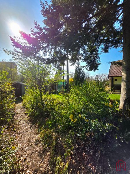 Garten in der Ul. 1. mája, Košice - Stadtteil Krásna, umgeben von Bäumen und Sträuchern.