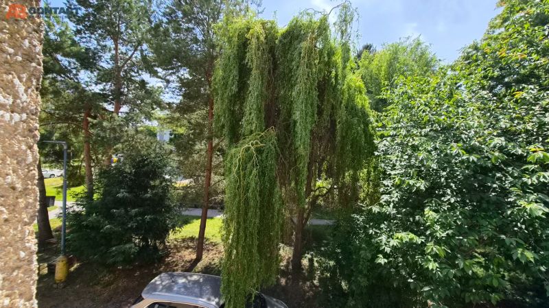 Blick aus dem Fenster einer 2-Zimmer-Wohnung in der J. Emanuela Straße in Vrbové mit Grünflächen und einem Auto.