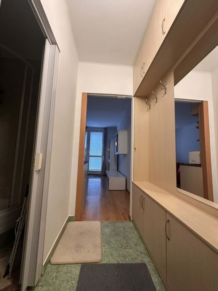 Flur in einer Ferienwohnung mit einem Schrank und einem Boden in Holzoptik.