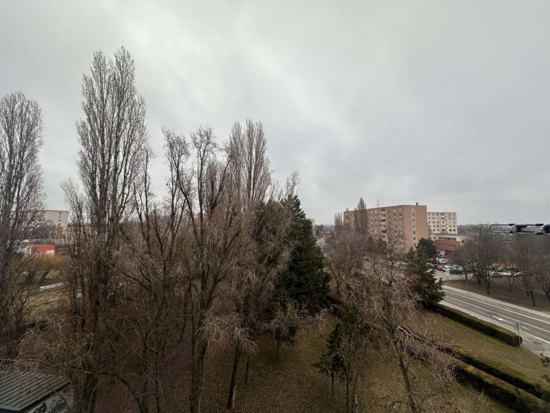 Verschneite Bäume und ein Wohngebiet in Dunajská Streda, in der Nähe einer Ferienwohnung.