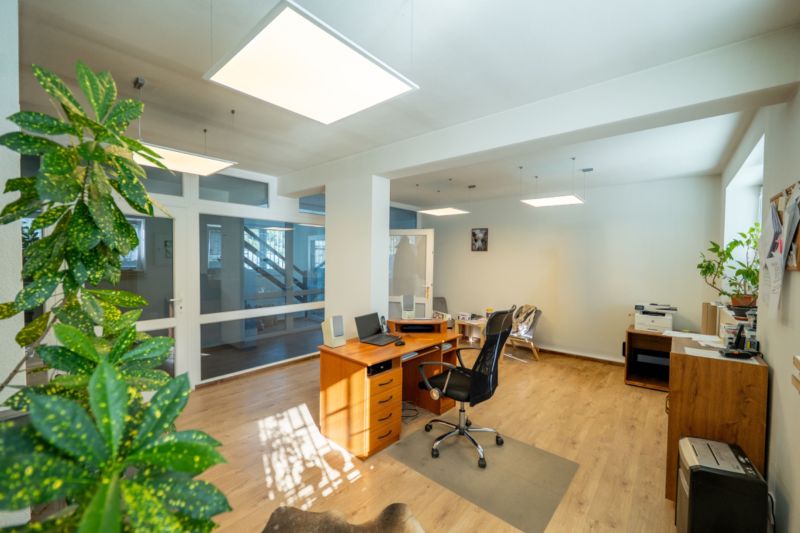 Ein Büro mit einem Holzboden, Pflanzen und moderner Beleuchtung. Besondere Immobilien.