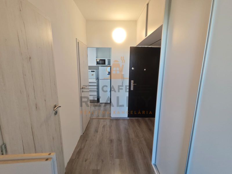 Der Flur in einer Einzimmerwohnung mit Holzboden und einem Einbauschrank.