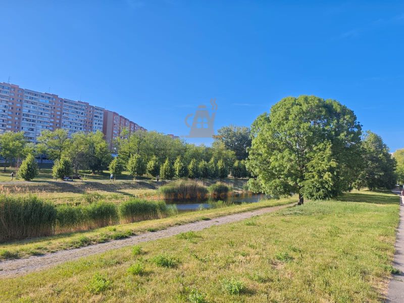 Wohnsiedlung mit Wohnhäusern, Grünflächen und Gehweg in Petržalka auf der Lachova.