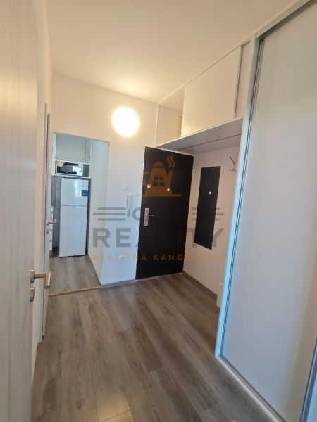 Eingangsflur mit Einbauschränken und Boden in Holzoptik in einer Einzimmerwohnung.