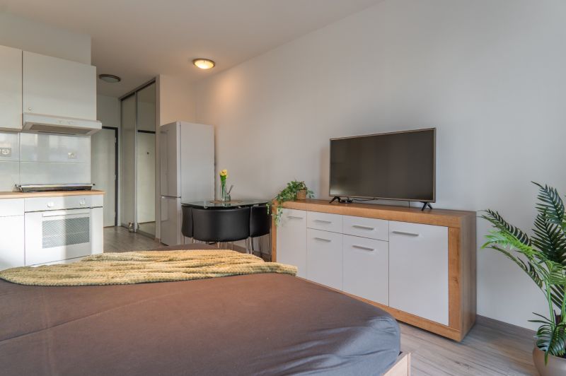 Wohnzimmer in einer Einzimmerwohnung mit Küchenzeile, Fernseher, Kühlschrank und Tisch.