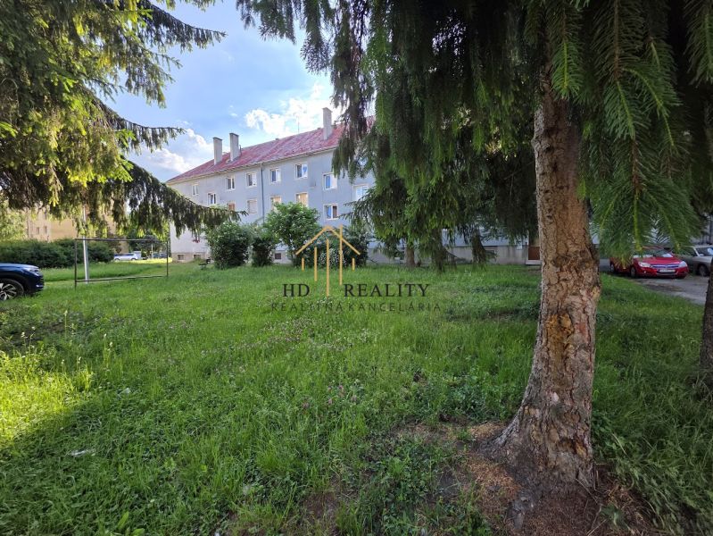 Rasenhof mit Nadelbäumen vor einem Wohnhaus in der Golianova-Straße in Banská Bystrica.
