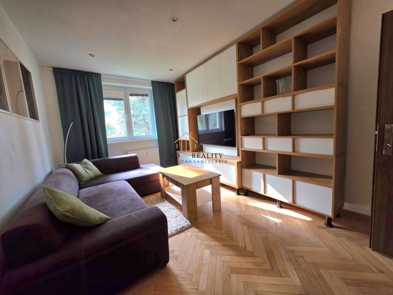 Wohnzimmer in einer 2-Zimmer-Wohnung mit Sofa, TV und Boden in Holzoptik.