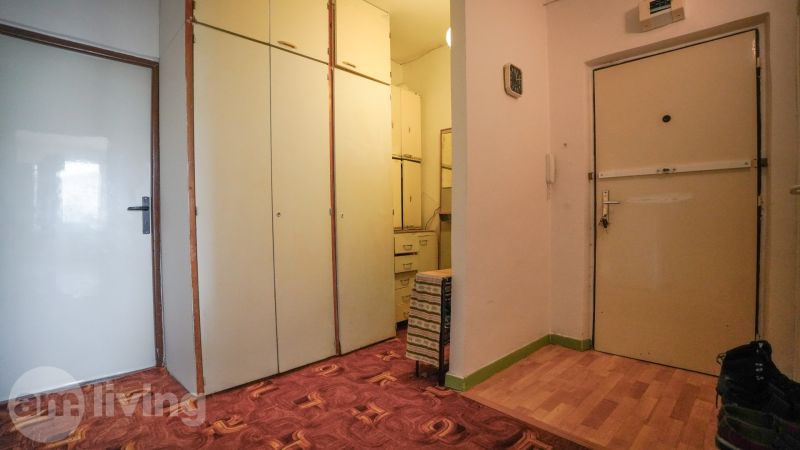 Eingangsbereich in einer 2-Zimmer-Wohnung mit Holzboden und Einbauschränken.