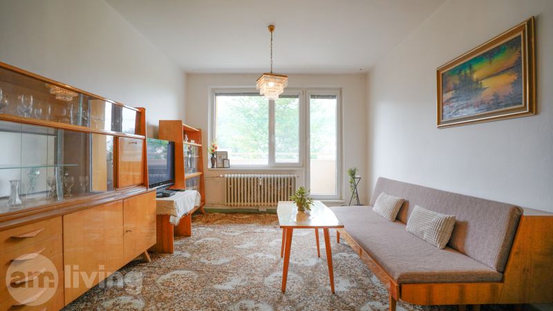 Wohnzimmer in einer 2-Zimmer-Wohnung mit Sofa, Vitrine und Fenster ins Grüne.