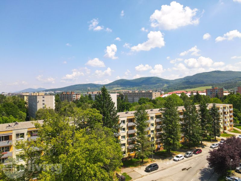 Blick auf Wohngebäude umgeben von Grün auf der Trenčianska-Straße in Nová Dubnica.