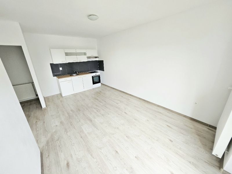 Küchenzeile und Boden mit Holzdekor in einer Einzimmerwohnung.