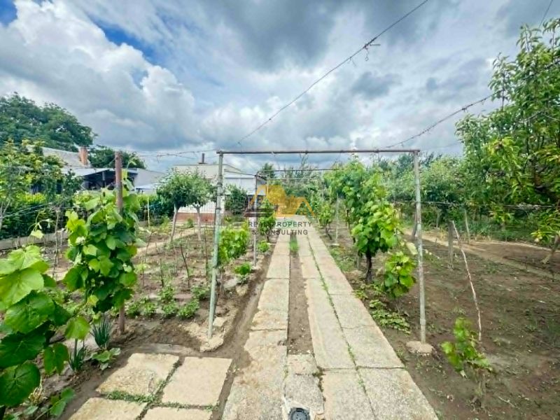 Ein Garten bei der Hütte in der Straße Nové Zámky in Nové Zámky mit Weinreben und einem Beet.