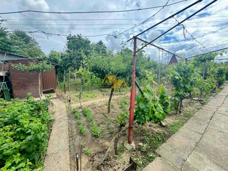 Garten bei der Hütte in Nové Zámky mit Obstbäumen und einem Gehweg.