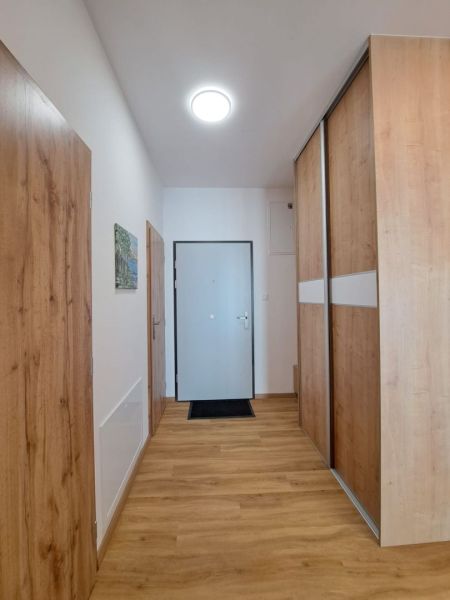 Geräumiger Flur mit Holzboden und Einbauschrank in einer 2-Zimmer-Wohnung.