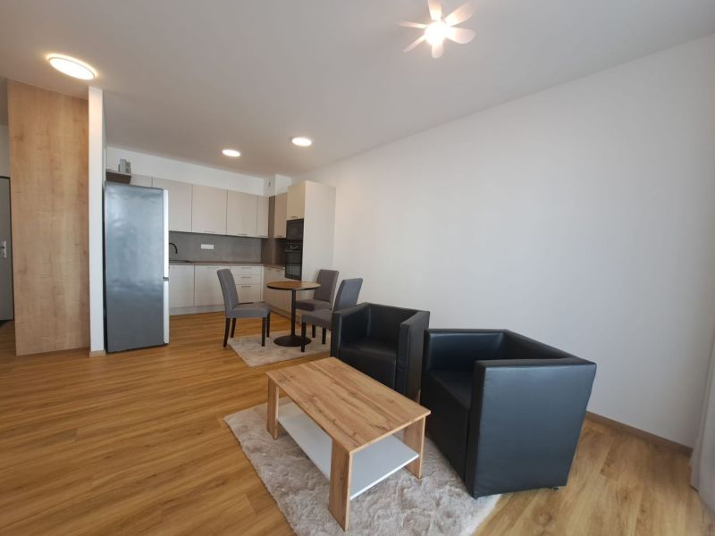 Wohnzimmer in einer 2-Zimmer-Wohnung mit offener Küche und Holzboden.