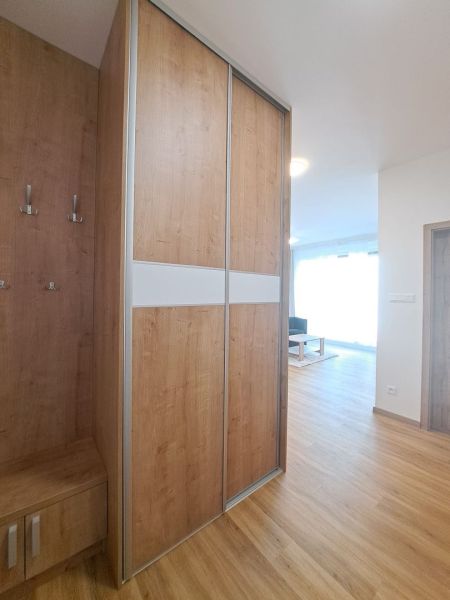 Innenraum mit Holzdekorboden und Einbauschrank in einer 2-Zimmer-Wohnung.