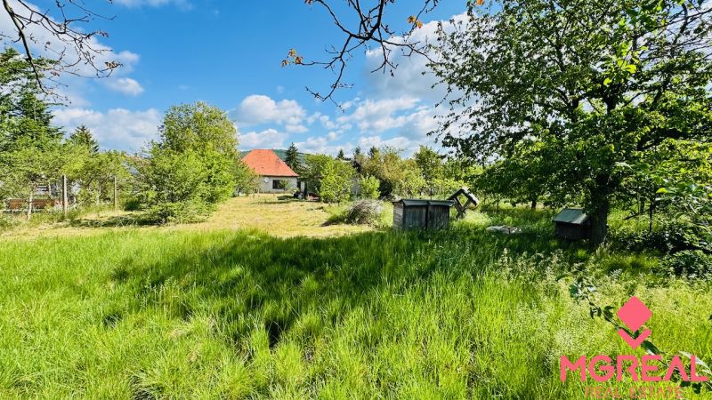 Grün, Bäume und ein Einfamilienhaus in der Gemeinde Pažiť mit blauem Himmel im Hintergrund.