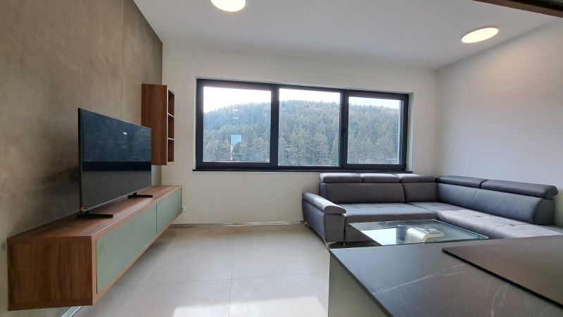 Wohnzimmer in einer 2-Zimmer-Wohnung mit Sofa, Fernseher und Blick auf den Wald.