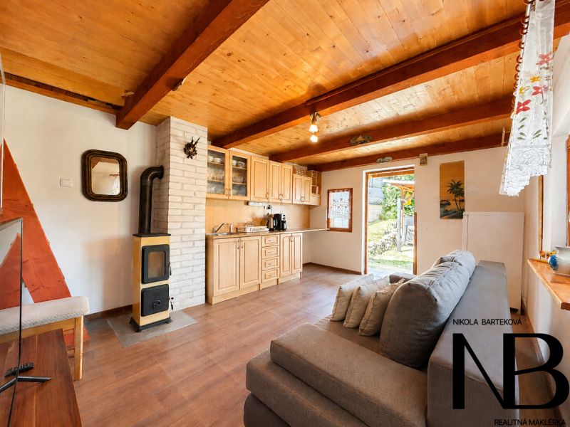 Das Innere der Hütte mit einem Holzboden, einem Sofa, einem Ofen und einer Küchenzeile.