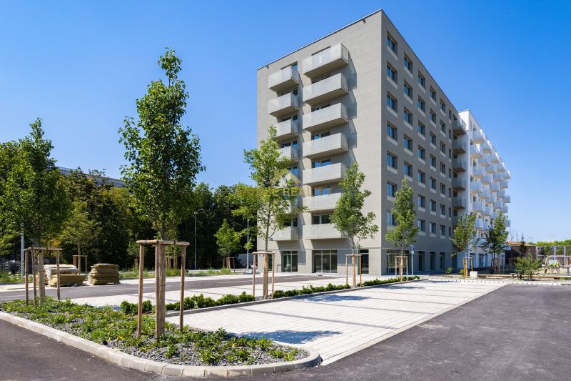 Wohnhaus an der Ivanská Cesta in Ružinov, Bratislava, umgeben von Grünflächen und Parkplätzen.