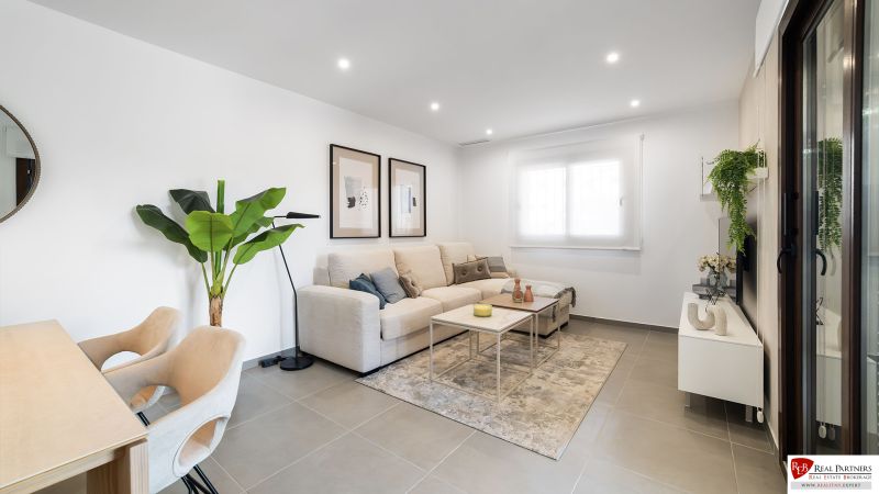 Wohnzimmer in einer 2-Zimmer-Wohnung mit Sofa, Teppich und Zimmerpflanze.
