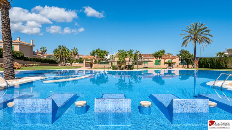 Ein von Palmen umgebener Pool in einem Ferienapartment in Cala Murada, Mallorca.