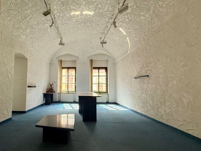 Das Innere präsentiert eine besondere Immobilie mit strukturierten Wänden, gewölbter Decke und blauem Teppich.