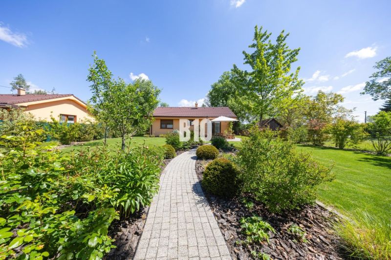 Der Garten eines Einfamilienhauses in Bílkovie Humence mit Bäumen, Sträuchern und einem Pflasterweg.