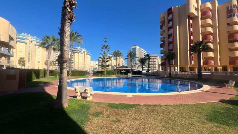 Ein von Grünflächen und Palmen umgebener Pool in La Manga del Mar Menor repräsentiert eine Ferienwohnung.