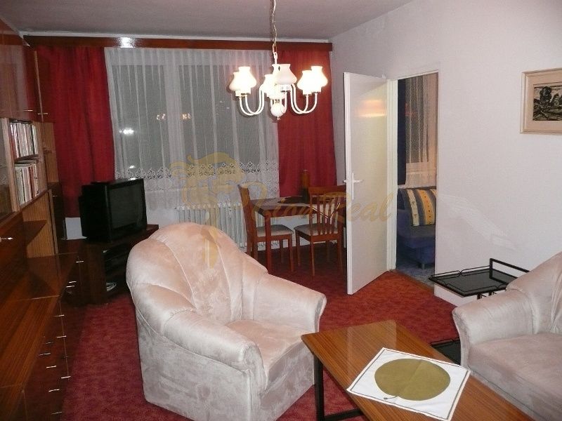Wohnzimmer mit rotem Teppich, Sesseln und Holzschränken in einer 2-Zimmer-Wohnung.